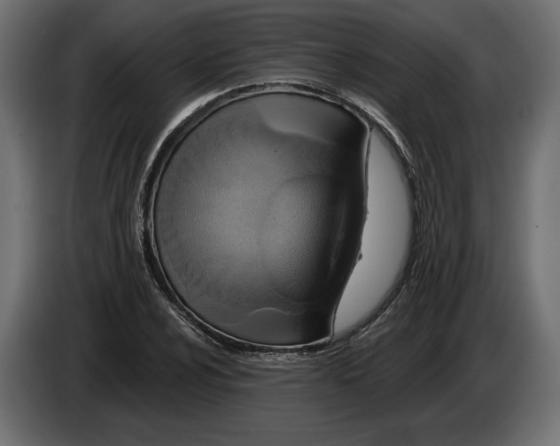 X0000082931024200703020101