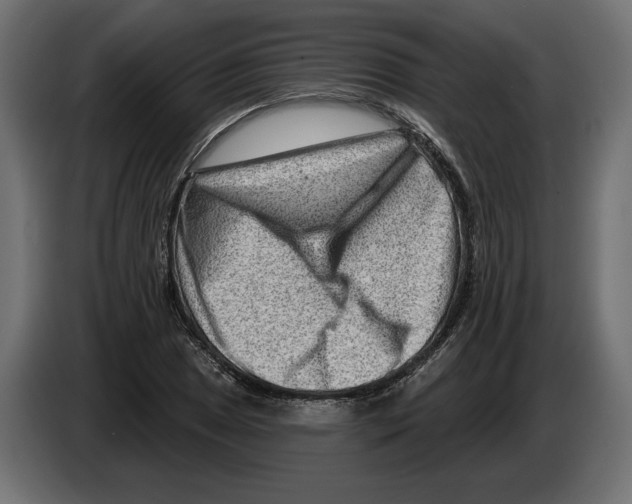 X0000082931025200703020101