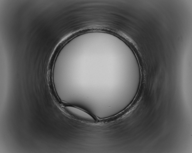 X0000082931029200703020101