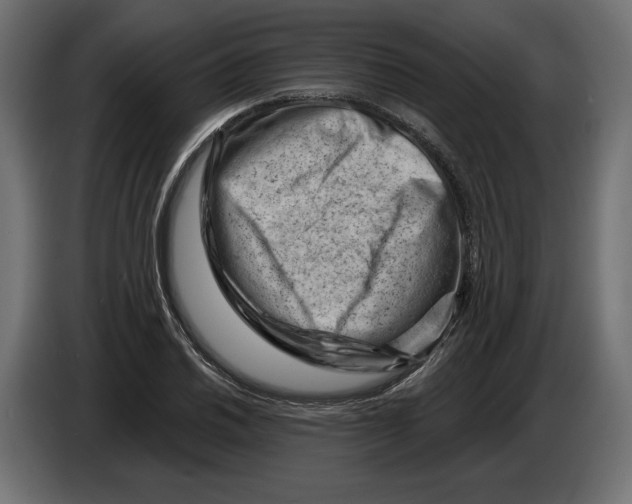 X0000082931030200703020101