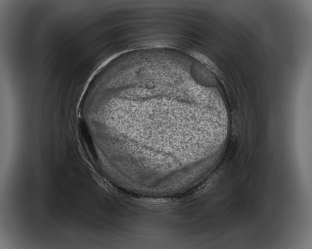 X0000082931031200703020101