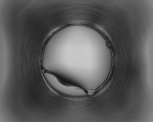 X0000082931033200703020101