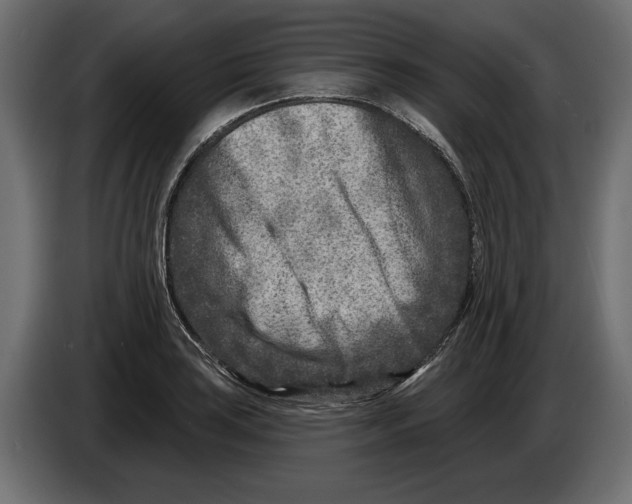 X0000082931035200703020101