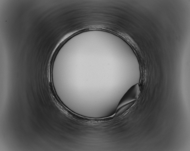 X0000082931036200703020101