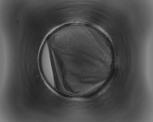 X0000082931037200703020101