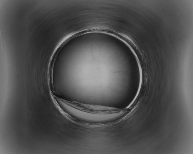 X0000082931038200703020101