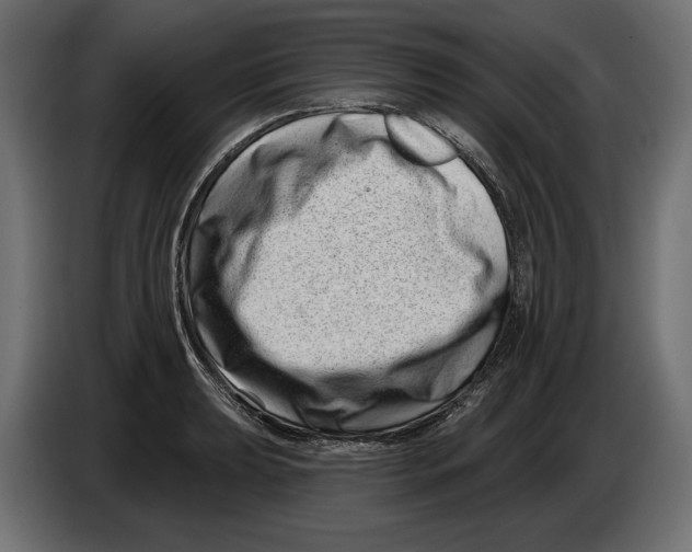 X0000082931039200703020101