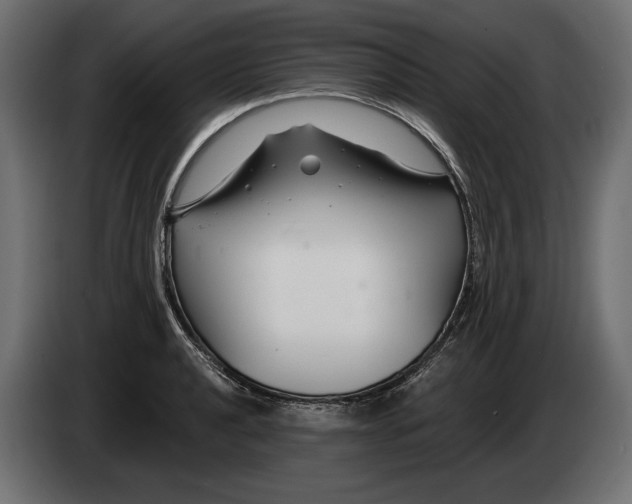 X0000082931040200703020101