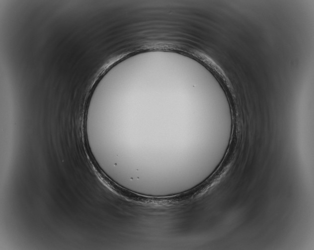 X0000082931041200703020101