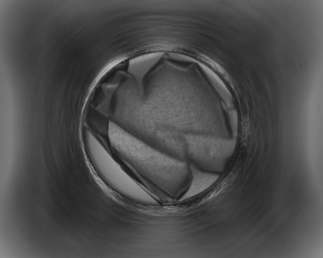 X0000082931042200703020101