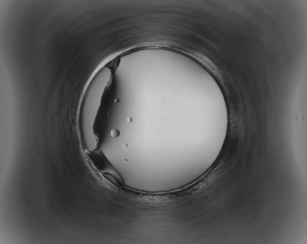 X0000082931044200703020101
