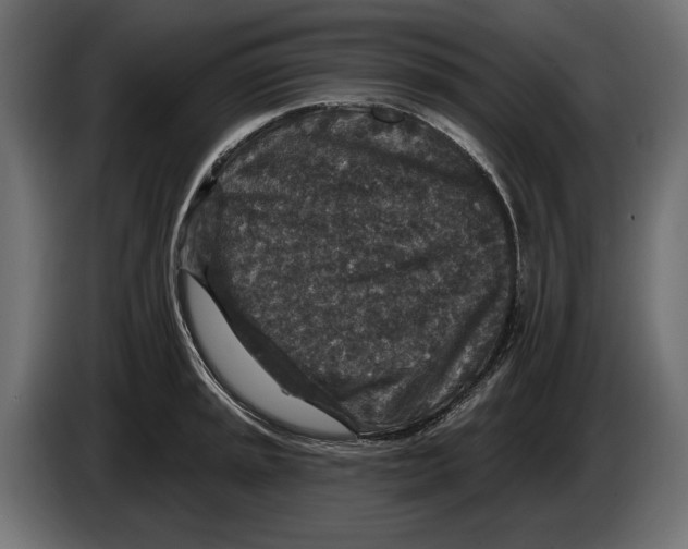 X0000082931045200703020101