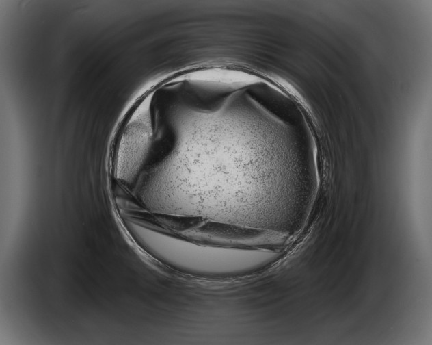 X0000082931046200703020101
