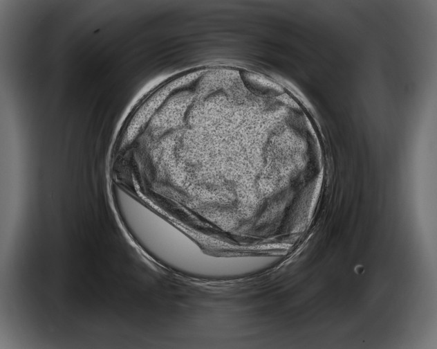 X0000082931048200703020101