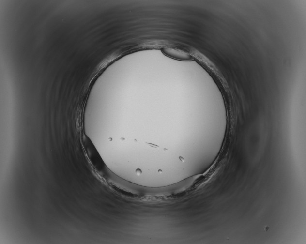 X0000082931049200703020101