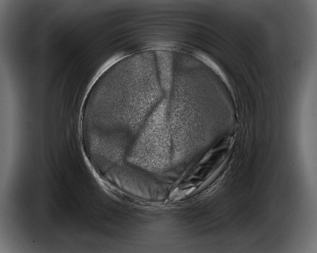 X0000082931050200703020101