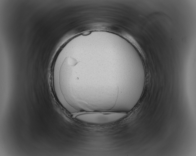 X0000082931051200703020101