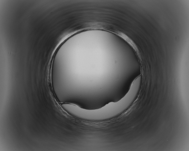 X0000082931052200703020101