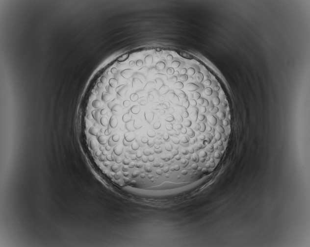 X0000082931053200703020101