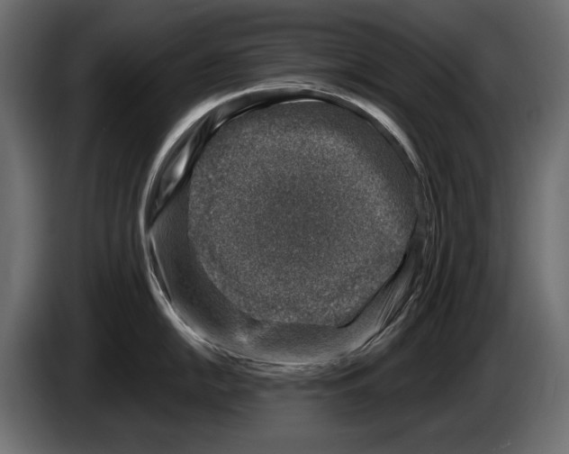 X0000082931054200703020101