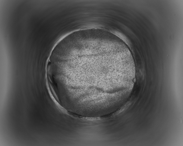 X0000082931055200703020101