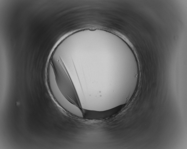 X0000082931056200703020101