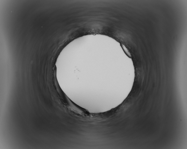 X0000082931057200703020100