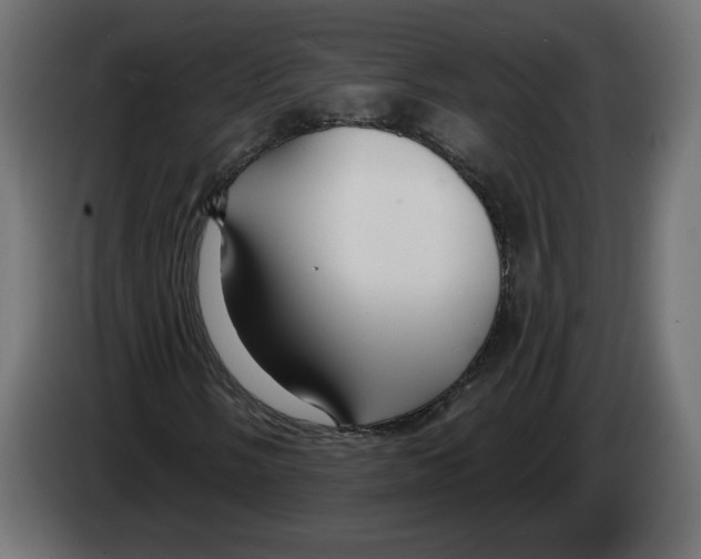 X0000082931058200703020100