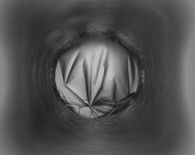 X0000082931059200703020100