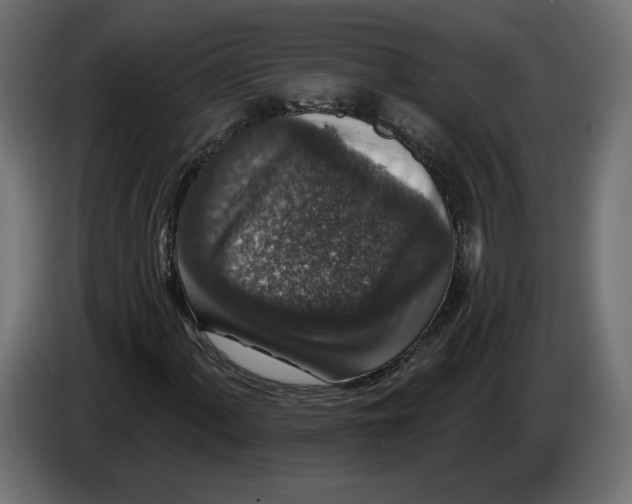 X0000082931060200703020100