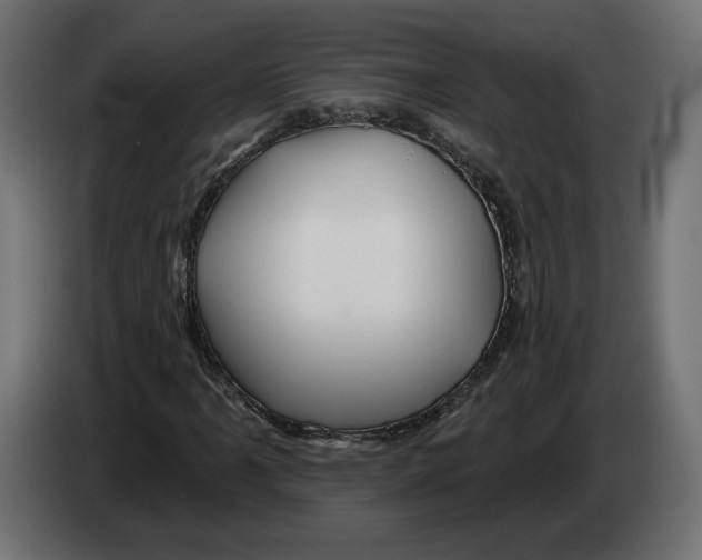 X0000082931061200703020100