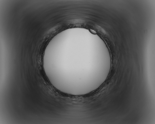 X0000082931062200703020100