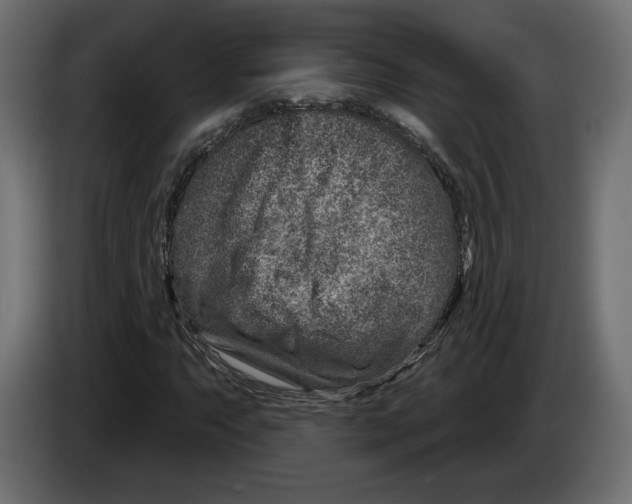 X0000082931063200703020100
