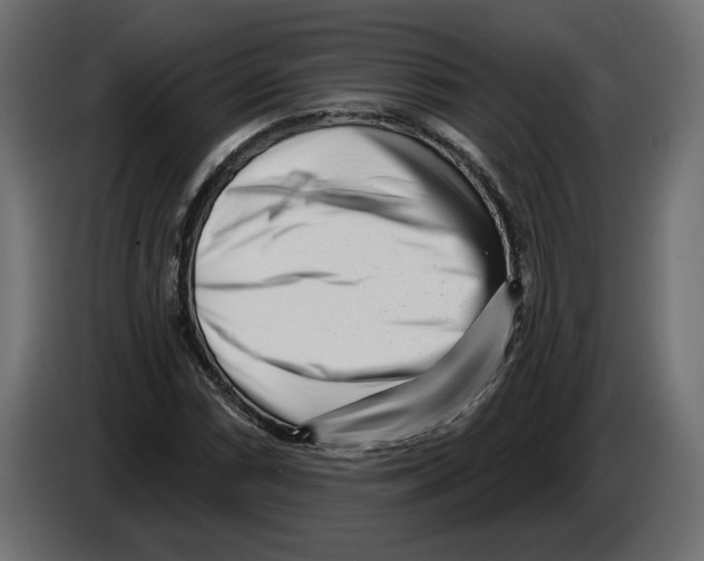 X0000082931066200703020100