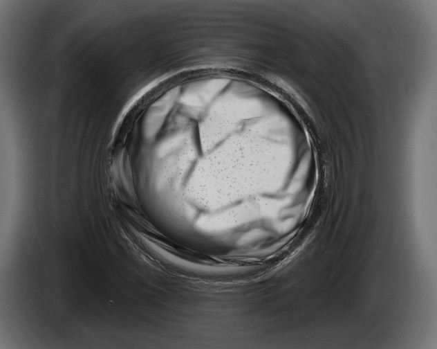 X0000082931069200703020100