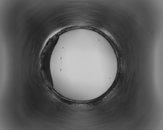 X0000082931070200703020100
