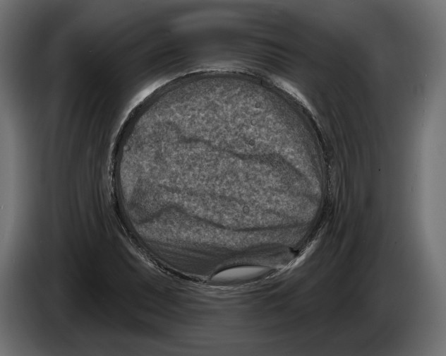X0000082931071200703020100