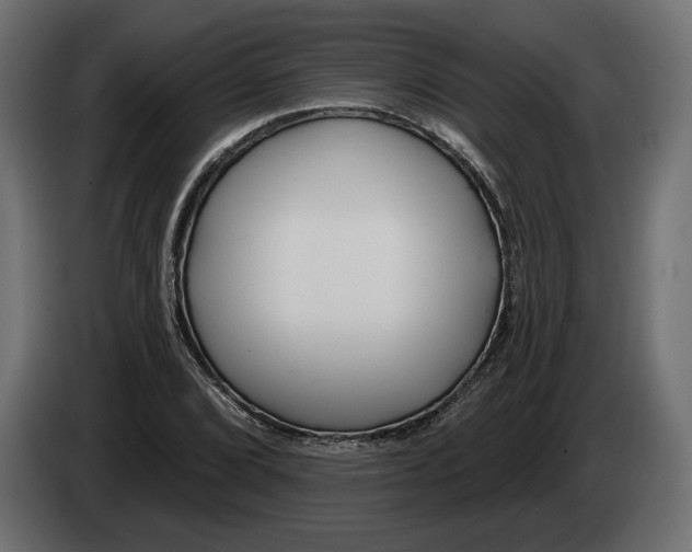 X0000082931072200703020100