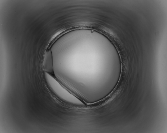 X0000082931073200703020100