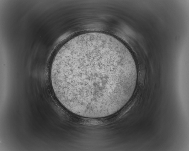 X0000082931074200703020100