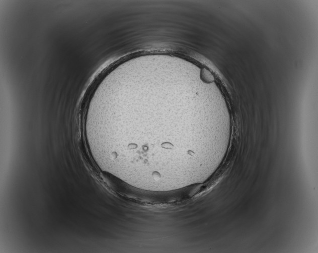 X0000082931075200703020100