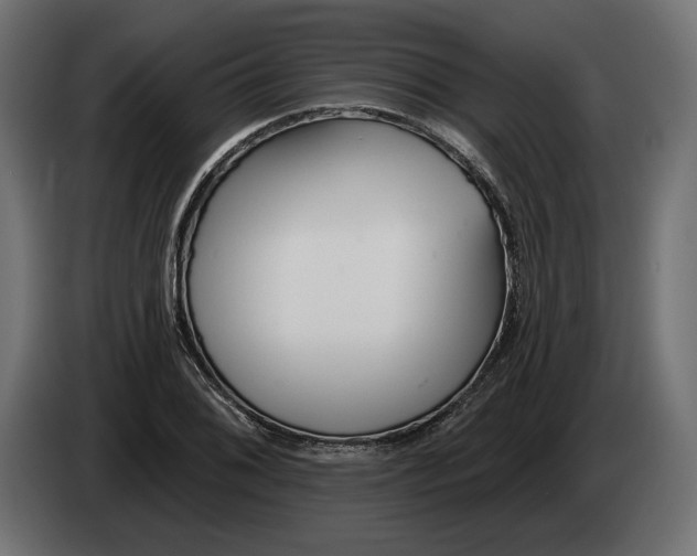 X0000082931076200703020100