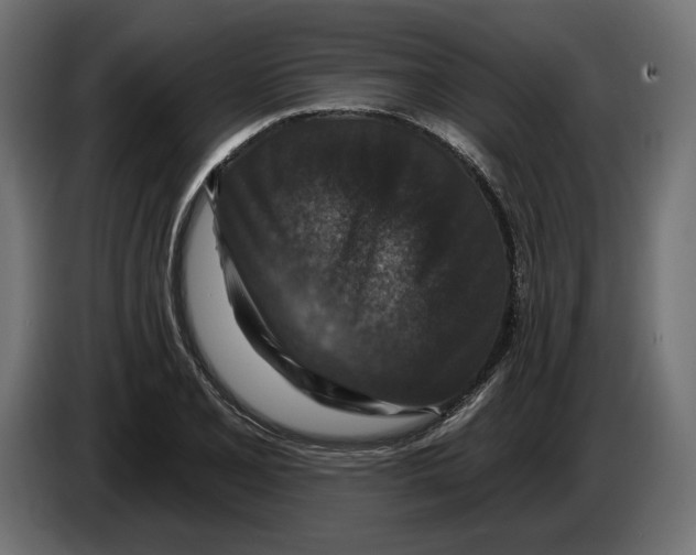 X0000082931077200703020100