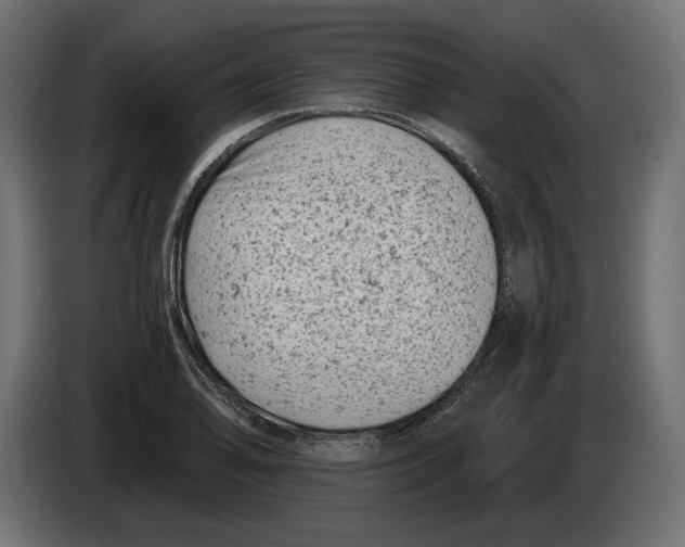 X0000082931078200703020100