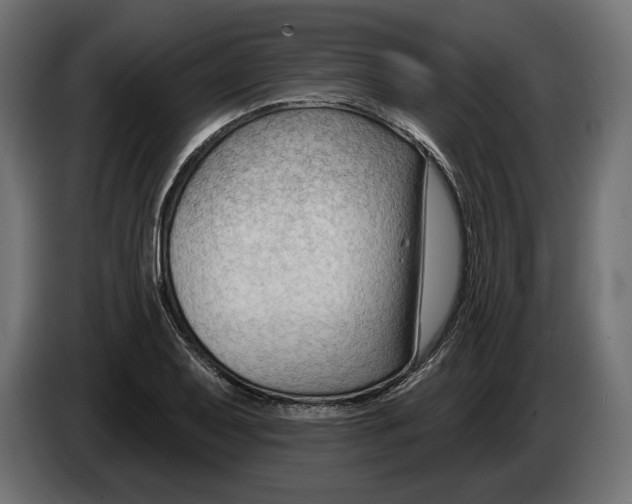 X0000082931079200703020100