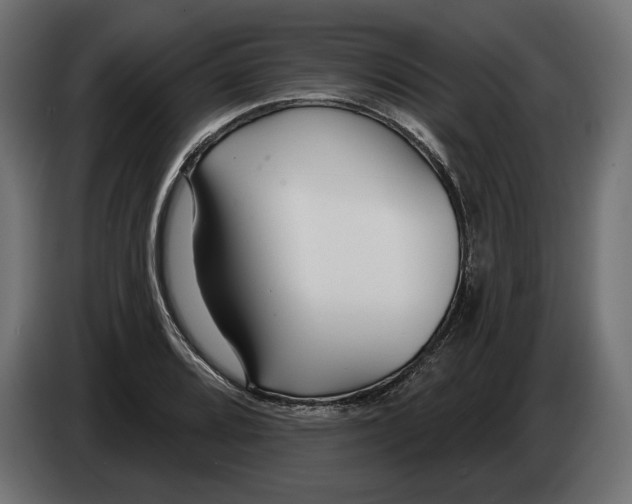 X0000082931080200703020100
