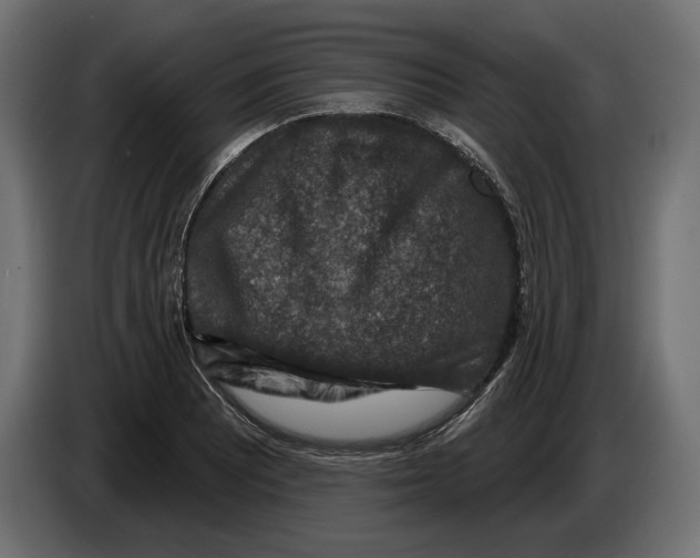 X0000082931081200703020100