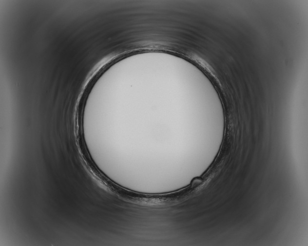 X0000082931082200703020100