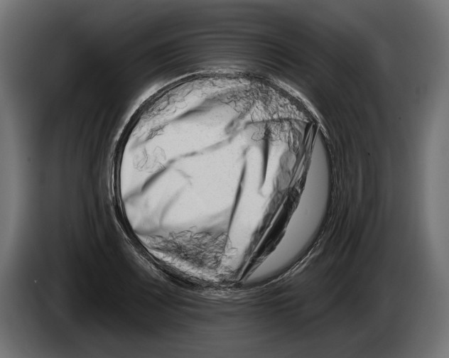 X0000082931083200703020100