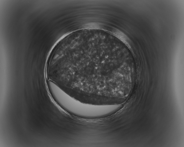 X0000082931084200703020100